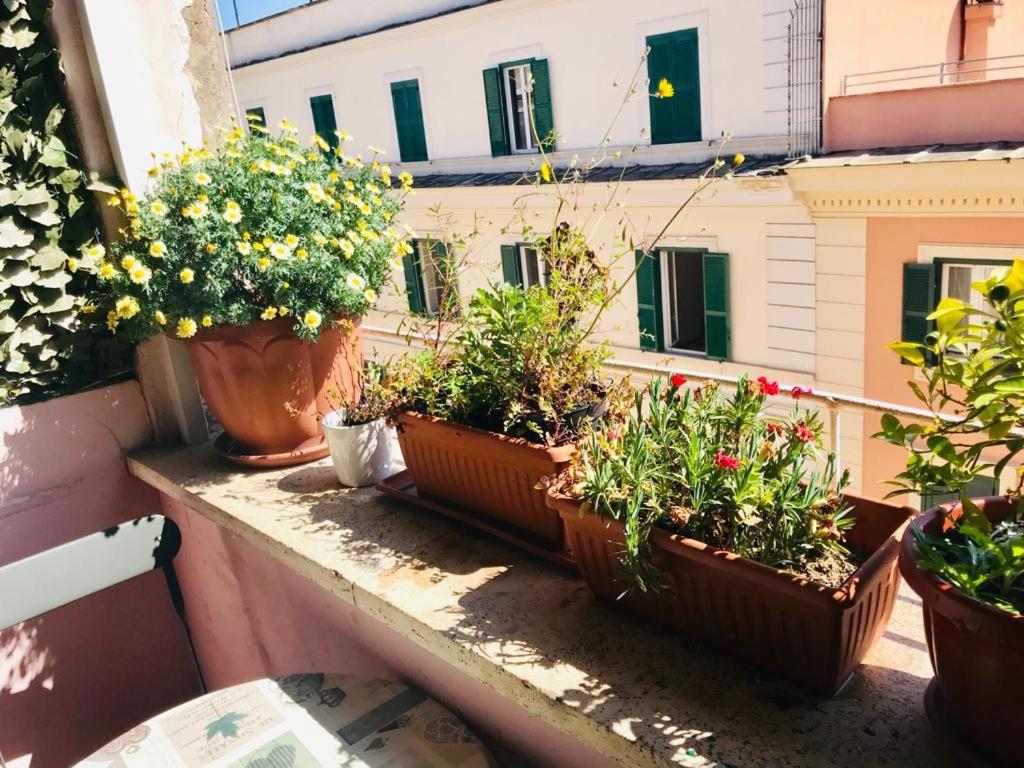 Green Guesthouse Roma Ngoại thất bức ảnh