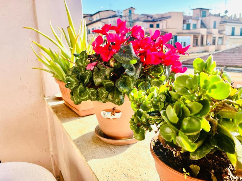 Green Guesthouse Roma Ngoại thất bức ảnh