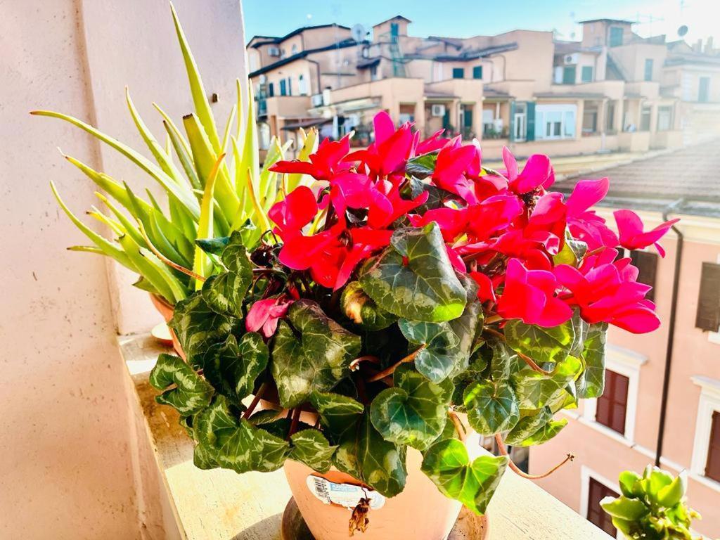 Green Guesthouse Roma Ngoại thất bức ảnh